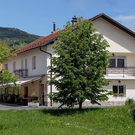 Guesthouse & Apartments Pri Stani Zerovnica Екстериор снимка